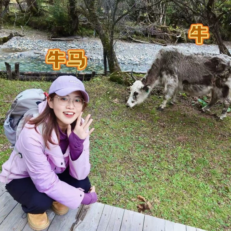 成都往返★四姑娘山含门票纯玩一日游可选双桥沟或长坪沟四川旅游