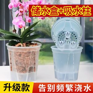 Phalaenopsis pot water storage self-absorbent transparent root control and breathable orchid dendrobium green plant plastic
