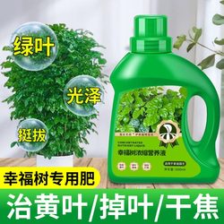 Happy Tree Special Nutrient Solution for Potted Plants Indoor