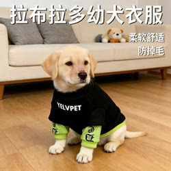 Labrador Puppy Clothes, Special Winter Clothing, Dog Sweatshirt, Winter Clothing, Warm Casual Letter-Printed Pet Clothing