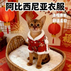 Abyssinian Cat Tang Suit Winter Clothing Hooded Fleece-Lined Warm Cotton Coat Pet New Year Festive Outfit New Year Clothes