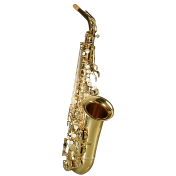 
RLIIINS French Rollins Carolin alto saxophone c5 e flat saxophone instrument professional performance