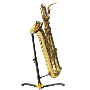 Carolan saxophone professional performance