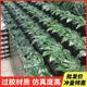 Simulated star anise leaf fruit store decoration fake green leaves gold plate leaves square real leaves size small price plant leaves