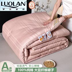 Roland Home Textiles Class a 100% Pure Cotton Soybean Fiber Quilt Single/Double Spring and Autumn Quilt Core Thickened Warm Winter Bedding