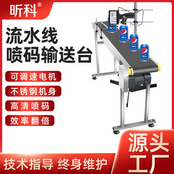 Inkjet Printer Conveyor Table for Positioning Food Packaging Bags, Production Date Qr Code Barcode Coding Assembly Line, Intelligent Laser Inkjet Printer with Adjustable Speed, Fully Automatic Assembly Line Conveyor Belt