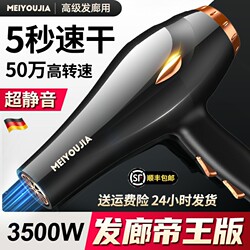 High-Power Hair Dryer for Hair Salons and Barbershops, Home Use for Drying Hair, Negative Ion, Quick-Drying, Hair Care, Low Noise