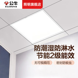 Bull Square Light 30X30 Ceiling Light Integrated Ceiling Led Light 300X300 Flat Panel Lighting Bathroom Toilet Light