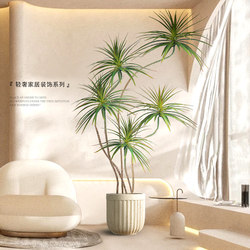 Cream-Colored Green Plant Floor-Standing Decoration Next to the Sofa in the Living Room, Dragon Blood Tree Indoor Potted Plant Decoration, Artificial Agave Plant