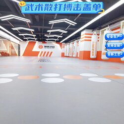 Pvc Non-Slip Martial Arts Sparring Mat for Boxing, Grappling, Judo, Taekwondo, Wrestling, and Judo Training