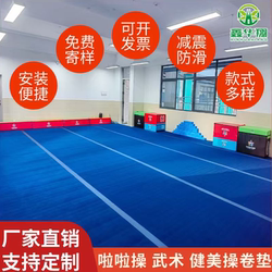 Cheerleading Roll Mat, Artistic Gymnastics Mat, Taekwondo Fighting Mat, Martial Arts Mat, Aerobics Dance Mat, Martial Arts Carpet