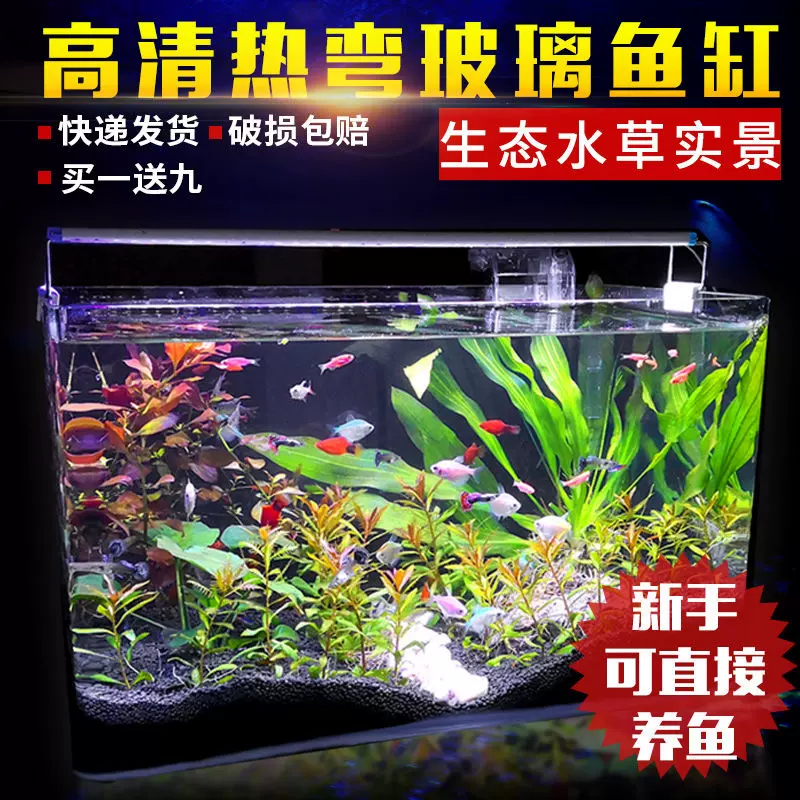 小型玻璃桌面真水草缸办公室热带鱼金鱼生态迷你热弯