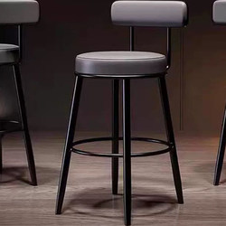 Nordic Bar Stool, Modern Light Luxury Home Bar Stool, Simple High Stool, Bar Chair with Backrest, Front Desk Iron Stool