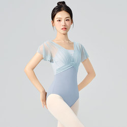 New Ballet Costume Chinese Dance Practice Outfit One-Piece Gymnastics Suit Basic Training Body Suit Adult Art Exam Flutter Sleeves