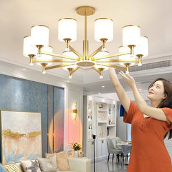 Living Room Main Light 2025 New Model Modern Simple Elegant High-End Trendy Light Luxury Style Internet Celebrity Minimalist Hall Chandelier