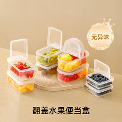 Portable Fruit Preservation Box, Portable Lunch Box for Picnics, Bento Box, Food-Grade Storage for Refrigerator Use