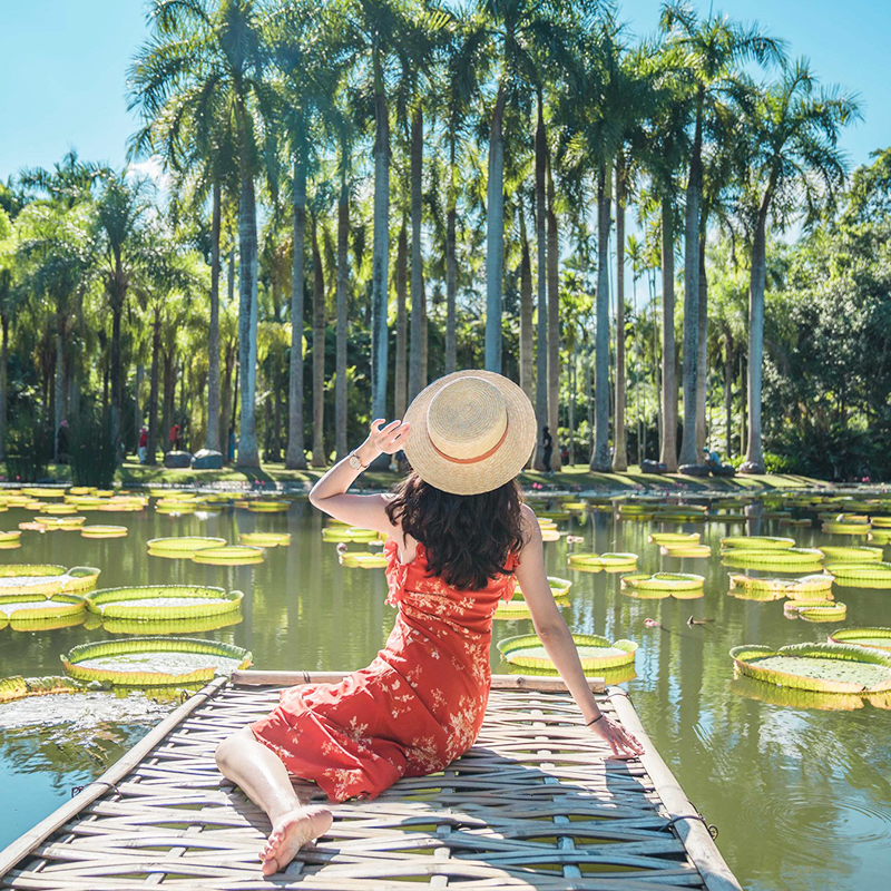 畅享版纳 云南旅游4天3晚跟团游昆明西双版纳旅游跟团游