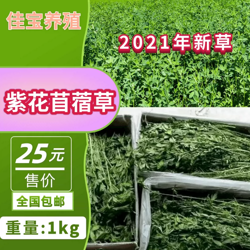 22年新鮮烘乾紫花苜蓿草兔子龍貓天竺鼠寵物兔幼兔