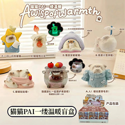 Authentic Cat Pai Warmth Blind Box Figurine Cute Siamese Cat Desktop Adorable Pet Figurine Birthday Gift for Women