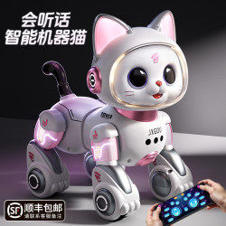 Smart Robot Cat Electric Remote Control Car Toy for Boys, Children's Car with Gesture Sensing, Pet Birthday Gift
