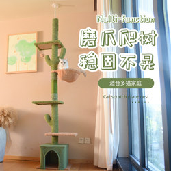 Tall Cactus Cat Climbing Frame, Cat House, Cat Tree, Integrated Cat Stand, Cat Scratching Board, Winter Tree Trunk-Style Home Cat Supplies