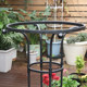 Gardening green plant bracket outdoor umbrella-shaped rose pergola fixed rose clematis climbing vine mushroom rose flower stand
