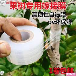 Special Film Grafting Device, Grafting Film, Fruit Tree Seedling Oilcloth, Thin Film Wrapping, Tying, Cutting Tool, Tape