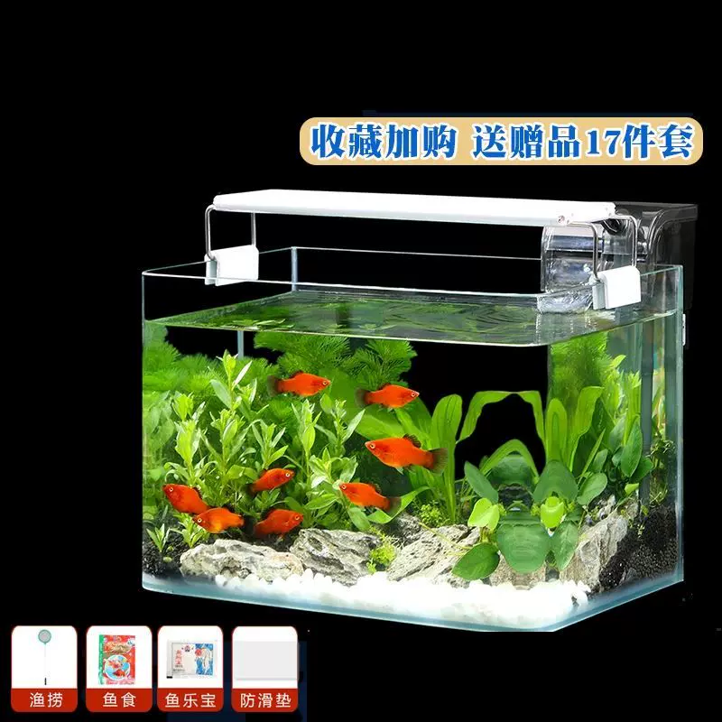 迷你鱼缸小型自循环斗鱼养金鱼的专用鱼缸六角恐龙鱼鱼缸