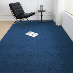Blue Carpet ins Style Bedroom Living Room Fully Covered Commercial Office Large Area Full Studio Photo Floor Mat