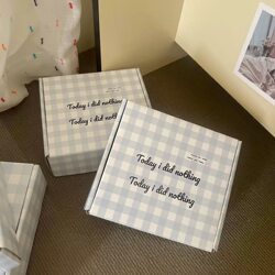 ins Korean-Style Blue Checkered English Lettering Airplane Box, Thickened and Reinforced, for Card and Item Packaging, Storage Box, Courier Packaging Box