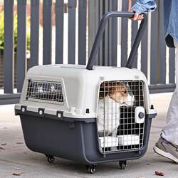 Pet Travel Crate for Dogs and Cats, Portable Carrier Box, Large Dog Cage, Small Dog and Medium/Large Cat Carrier