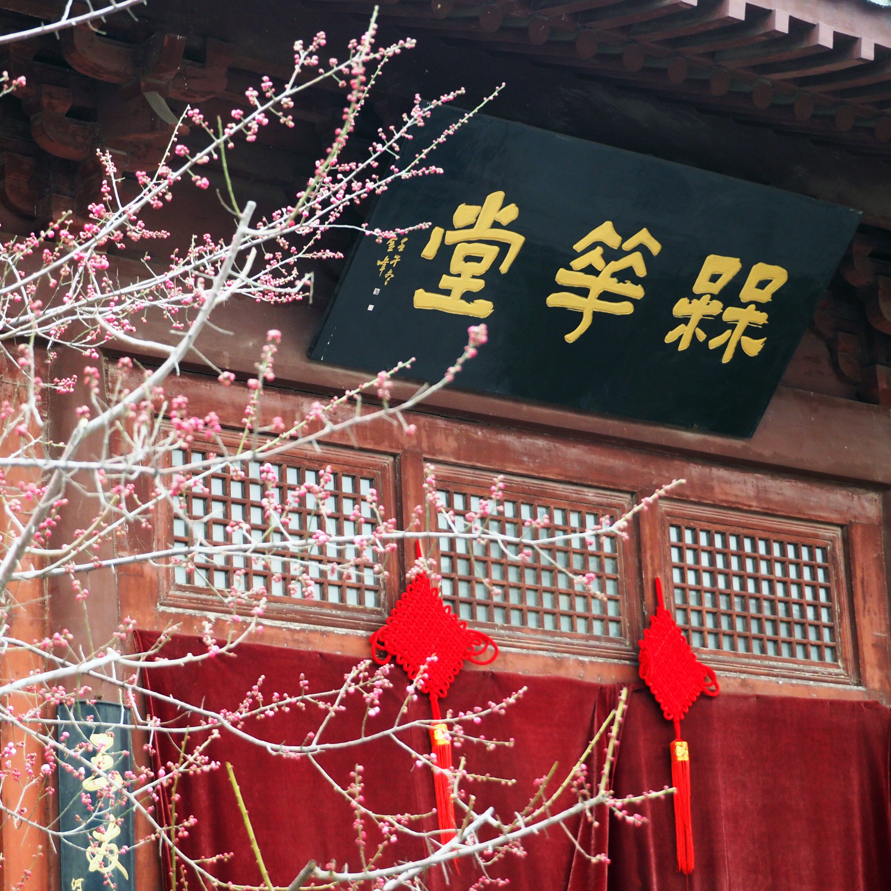 开封清明上河园1日游 | 包公祠/开封府可选 真纯玩 赠送讲解耳机