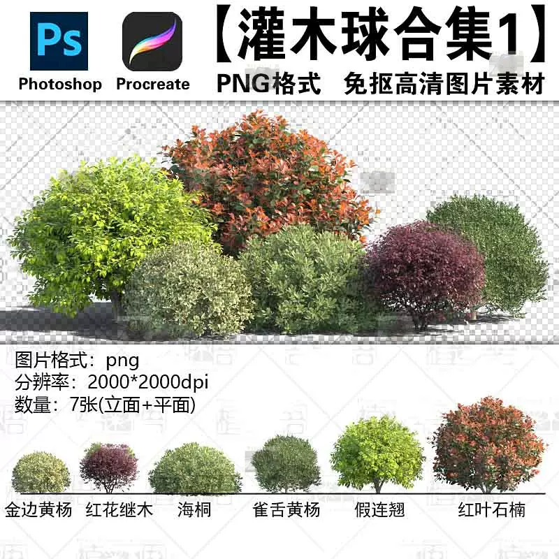 灌木 Png 计划 灌木圖案素材| PNG和向量圖