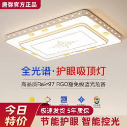 Zhongshan Lighting 2025 New Model Remote Control Led Ceiling Light Modern Simple and Elegant Living Room Light Bedroom Light Fixtures
