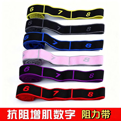 Resistance Band for Muscle Growth, Digital Resistance Band for Leg Strength Training, Multifunctional Shoulder and Back Yoga Resistance Rope, Elastic Band