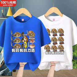 My Knife and Shield Children's Pure Cotton Short-Sleeve T-Shirt, New Summer Style, Versatile for Boys and Girls, Suitable for Older Children