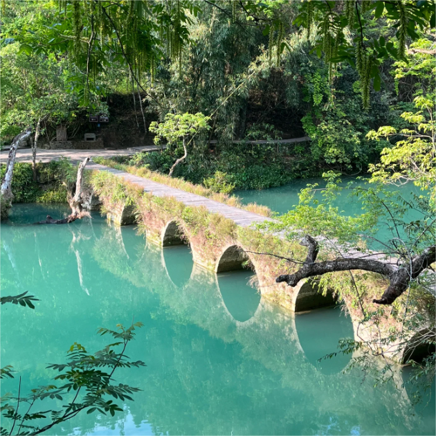 贵州纯玩旅游贵阳出发小七孔西江苗寨梵净山镇远古城3天2晚跟团游