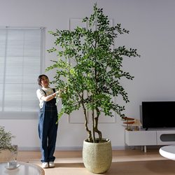 Extra-Large Artificial Elm Money Tree, Money Banyan Plant, Fake Tree, Indoor Living Room, Shop Green Plant Decoration, Floor-Standing Ornament