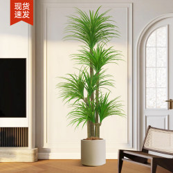 Simulated Green Plant Dracaena Indoor Living Room Tv Cabinet High-End Light Luxury Plant Floor-Standing Potted Plant Artificial Decoration