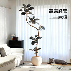 Black Diamond Rubber Tree Artificial Green Plant Indoor Living Room High-End Light Luxury Biomimetic Plant Floor Decoration Ornament Fake Tree