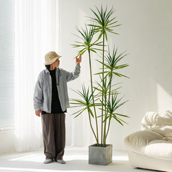 Artificial Green Plant Dracaena, Light Luxury Simulated Plant, High-End Indoor Living Room Decoration, Floor-Standing Ornament, Large Artificial Flower Tree