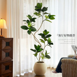 Simulated Bengal Banyan Indoor Living Room Floor-Standing Potted Plant Decoration, High-End Artificial Plant, Large Green Plant