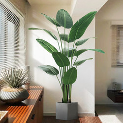 Simulated Green Plant Bird of Paradise, High-End Light Luxury, Advanced Bionic Fake Plant, Large Indoor Potted Plant Decoration, Living Room Ornament