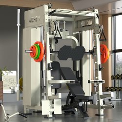 Multi-Functional Smith Machine Comprehensive Trainer Gym Bird Press Chest Press Rack Barbell Squat Bench Press Rack