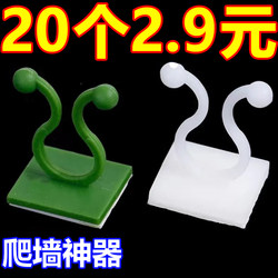 Climbing pothos wall climbing artifact holder green plant climbing clip