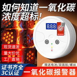 Carbon Monoxide Alarm for Home Use to Detect the Leakage of Briquettes and Gas Poisoning, Plug-In Co Detector