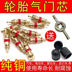 Universal Pure Copper Valve Core for Tires, Resistant to Aging, Slow Leakage, Suitable for Trucks, Cars, Motorcycles, Electric Scooters, Vacuum Valve Needle