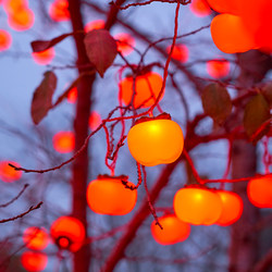 New Year Decoration Persimmon Lanterns Solar Lights Outdoor Waterproof No Need for Electricity Hanging on Trees Spring Festival Decoration Courtyard Atmosphere