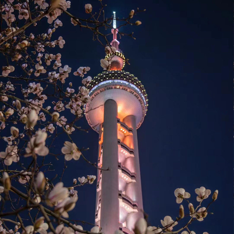 金牌说●上海外滩讲解2H金牌导游大咖解说夜游外滩大上海陆家嘴