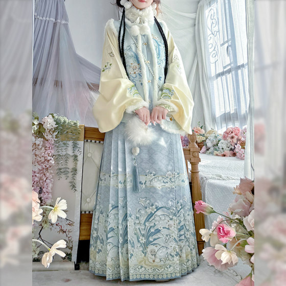 
Zuihuanlou_Linglan 咩咩 Ming-made Hanfu women's 2025 new winter thickened Bijia horse face skirt fairy ancient costume